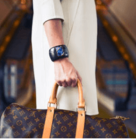 高級な旅行カバンもレンタル